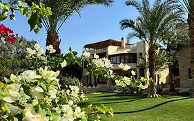 Palm Shadow Resort